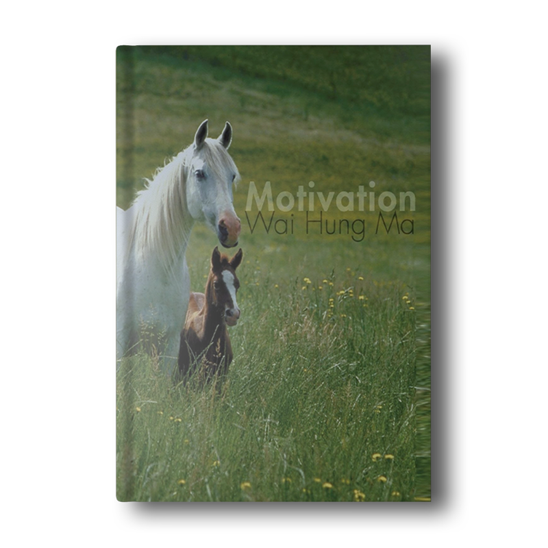 Motivation